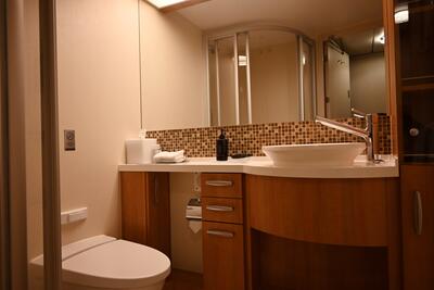 Celebrity Silhouette Bathroom